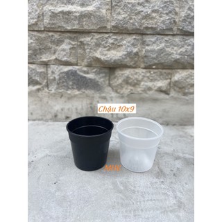 Chậu nhựa cứng mini 10x9 trồng xương rồng, sen đá ,chậu ươm , giâm cành ! Mẫu cải tiến !