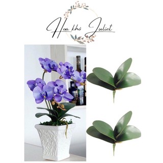 Hoa giả - Cụm lá lan tròn 5 lá, có rễ giả, dùng trang trí gốc lan giả, điểm bó hoa/ chậu lan giả. HL035