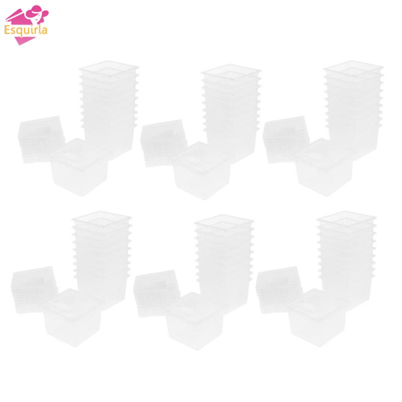 Bộ 60 Hộp Nhựa Bắt Côn Trùng Cho Bò Sát