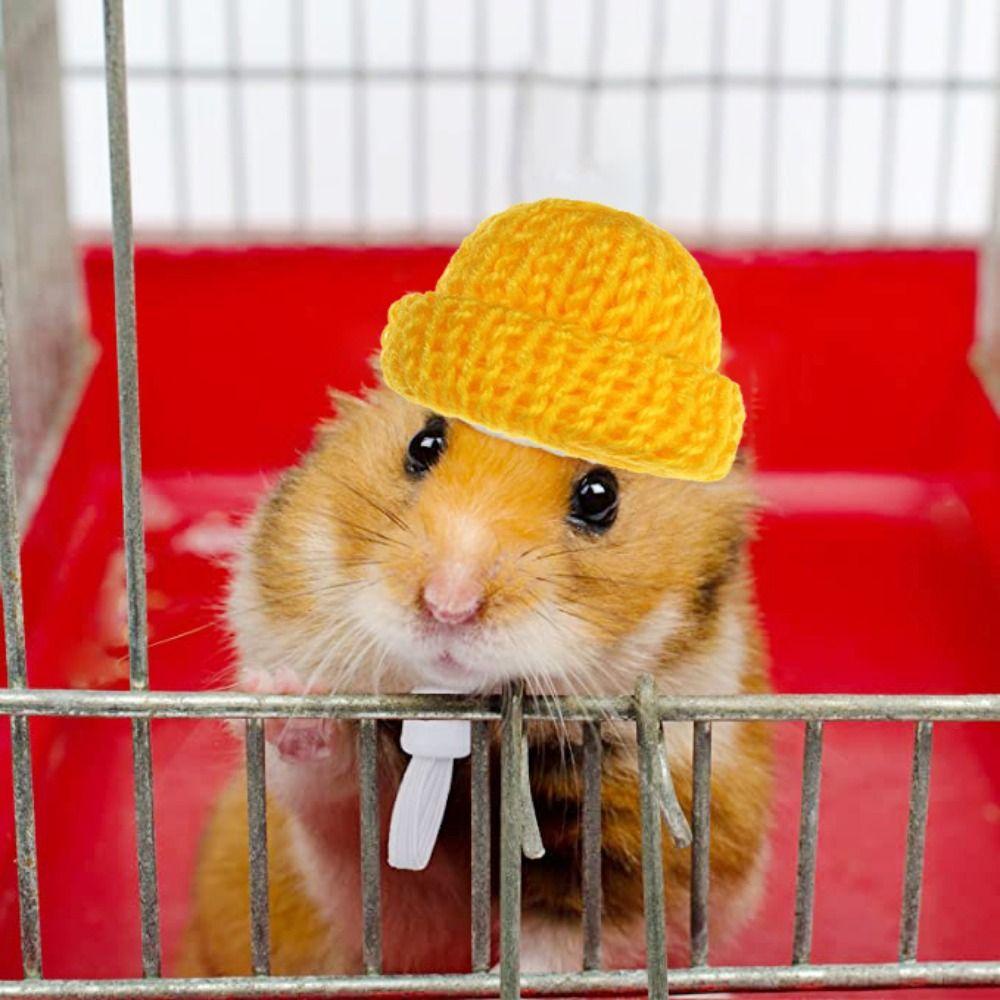 Mũ Dệt Kim Mềm Mại Co Giãn Nhiều Màu Sắc Có Dây Đeo Cằm Cho Chuột Hamster / Heo Guinea