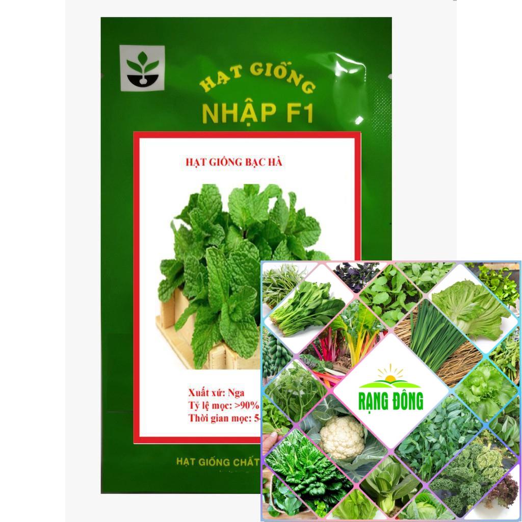 Hạt giống bạc hà 100 hạt HAT F1