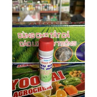 1 lọ Siêu kích rễ Root King lọ 20ml kích rễ, giâm chiết cành