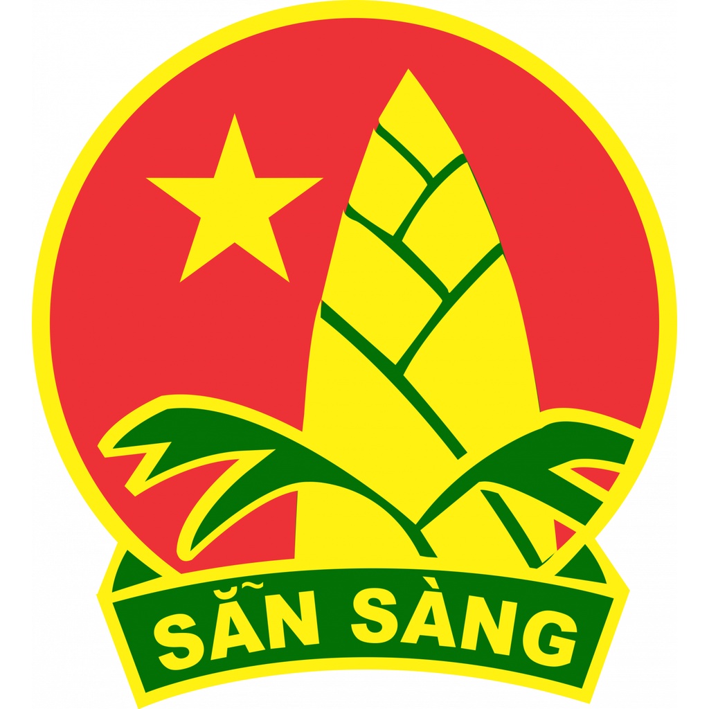 Sticker ủi áo miếng dán ủi quần áo hình ủi nhiệt đầy đủ logo Đoàn Thanh Niên, cờ Việt Nam thiết kế miễn phí theo yêu cầu