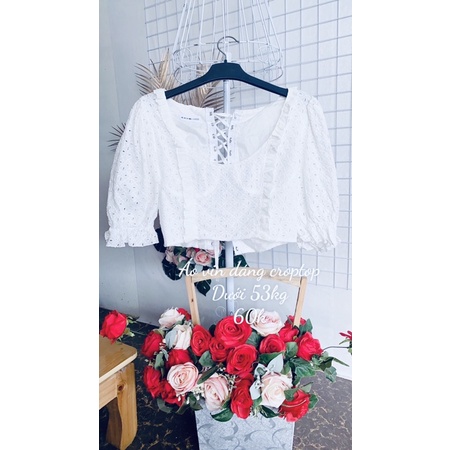 Áo vin dáng croptop