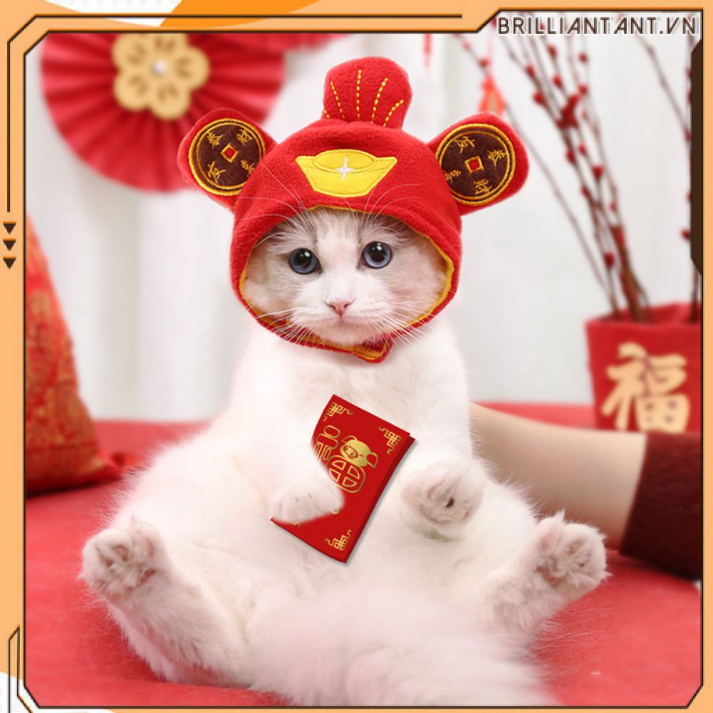 Mũ Đội Đầu Cho Thú Cưng Mũ Đội Đầu Cho Mèo Cún Con Phụ Kiện Hóa Trang Cho Chó Gấu Bông Mèo Dễ Thương Mũ Đội Đầu Biến Hình Bri
