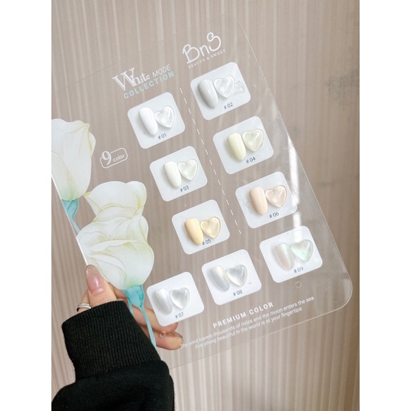 Set sơn Trắng 9 màu BNS cao cấp