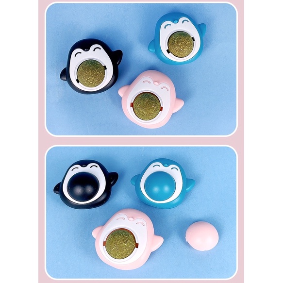 Cỏ mèo gắn tường hình chim cánh cụt dễ thương cho boss mèo