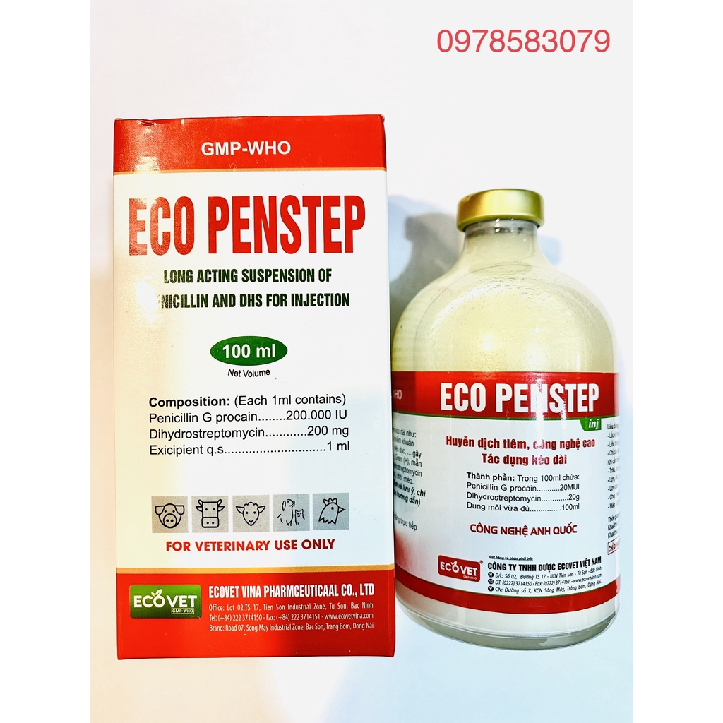 Eco Penstrep(20ml-100ml) Toàn Thắng Tiêu chay, ho tho, viem vu, viêm tư cung, viem khop, bỏ an không rõ nguyen nhân
