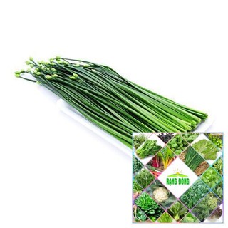 5 GRAM HẠT GIỐNG RAU HẸ BÔNG