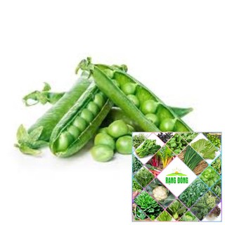 10gr hạt giống đậu hà lan