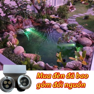  Đèn Hồ Koi Combo Sẵn Nguồn Chiếu Hồ Cá Koi Sân Vườn Tiểu Cảnh Đài Phun Nước 12 24V An Toàn Tuyệt Đối 