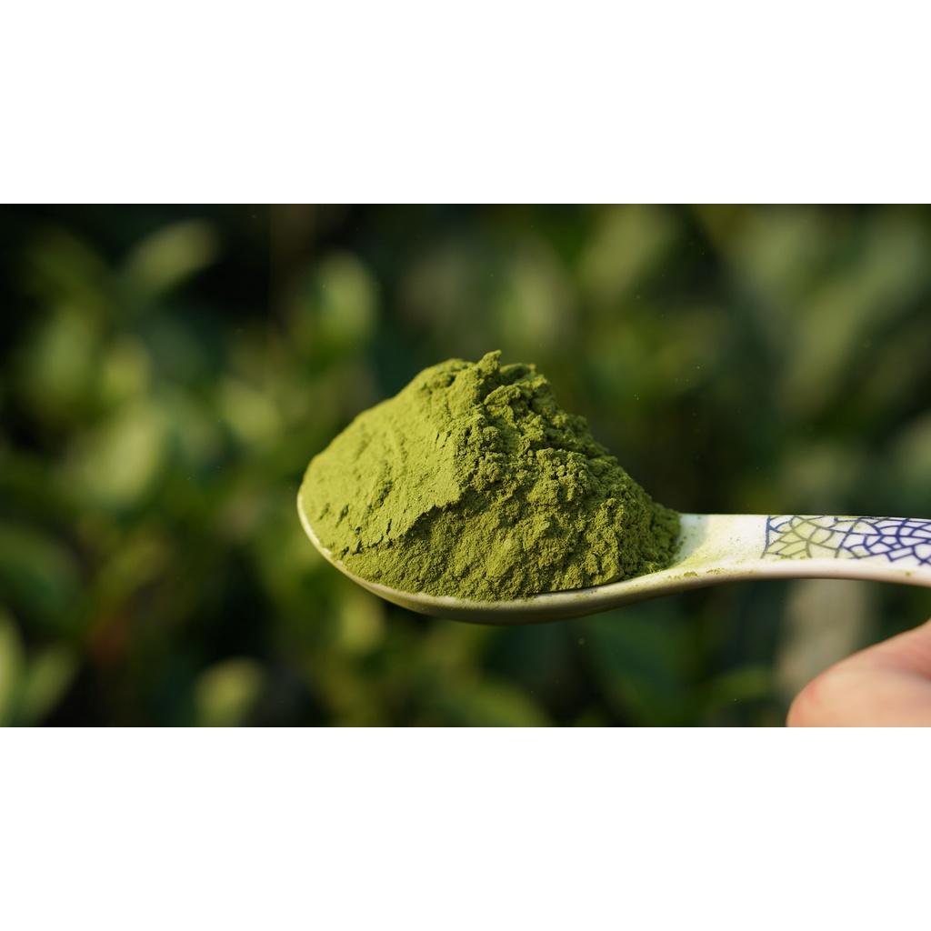 Matcha Bột Trà Xanh Yencanvas nguyên chất 50g - 100g
