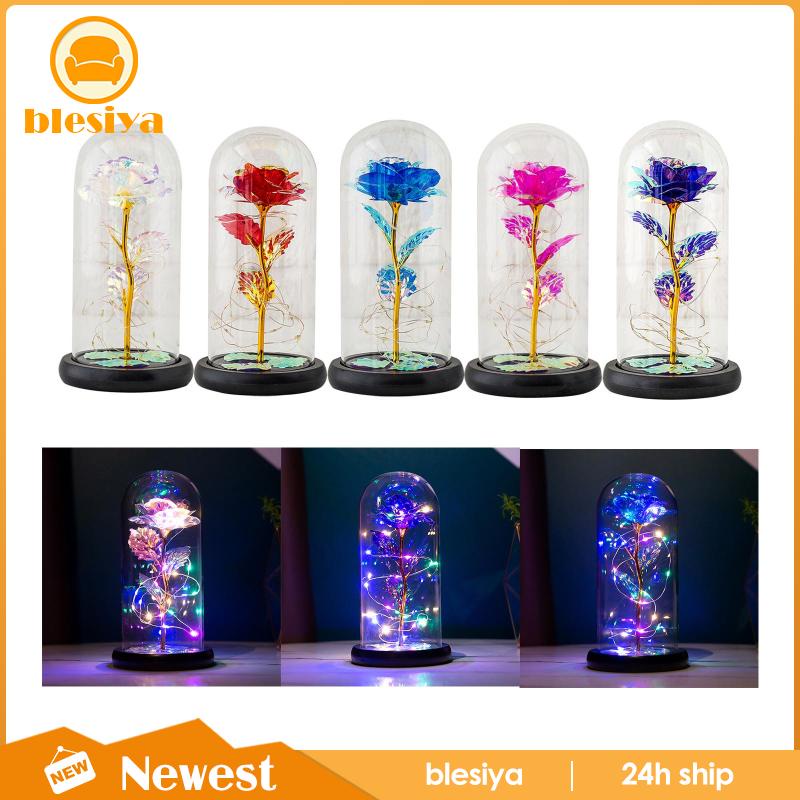 Đèn Ngủ Hình Hoa Hồng Kèm Vỏ Bọc Kính Trang Trí Phòng Ngủ / Tiệc Cưới