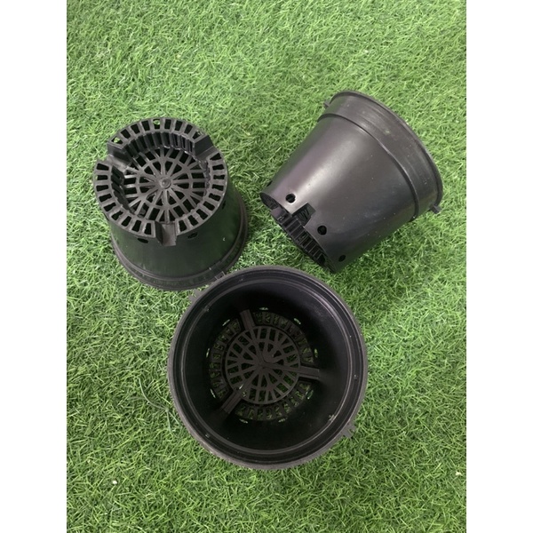 Chậu nhưa trồng lan phi 14cm