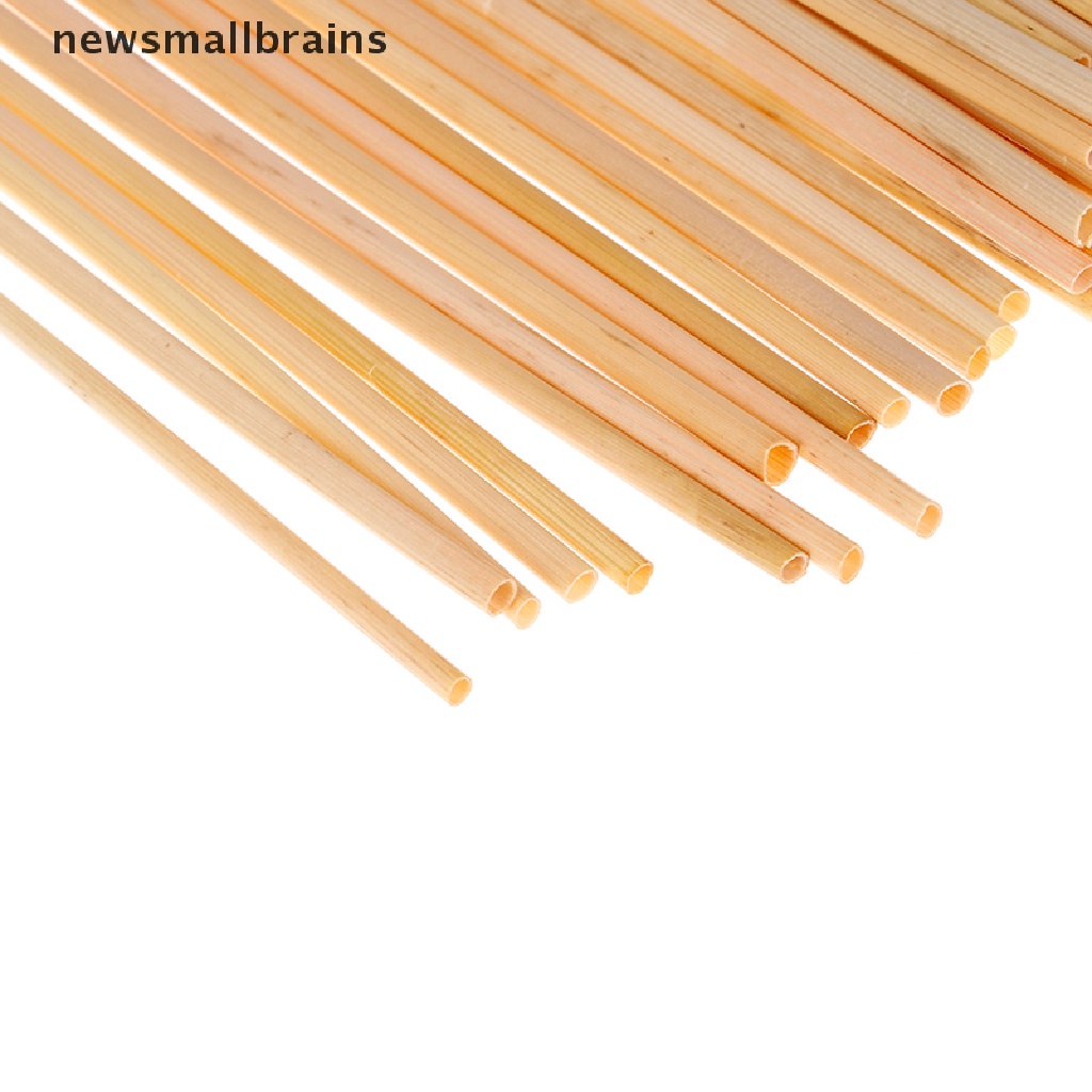 Set 100 Túi Rơm Lúa Mì 20CM Thân Thiện Với Môi Trường