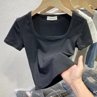 áo crt cổ vuông bigsize