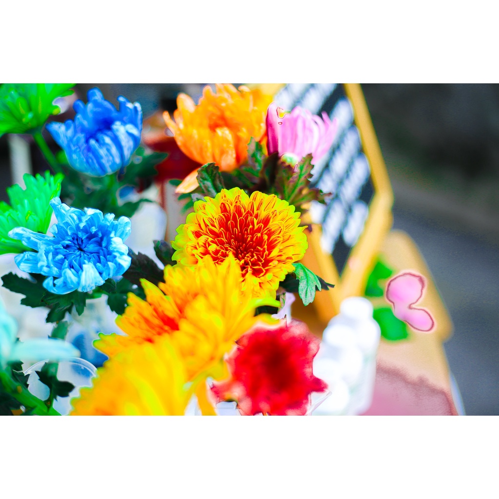 Thuốc nhuộm hoa tươi, màu nhuộm hoa chai 100MLđổi màu theo công nghê Israel, nước nhuộm hoa tươi lên chuẩn màu, tươi hoa