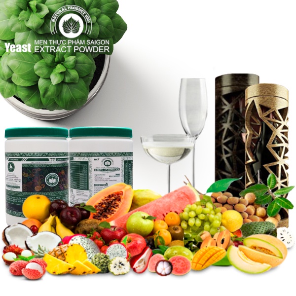 1KG MEN SẠCH LÊN MEN RƯỢU TRÁI CÂY