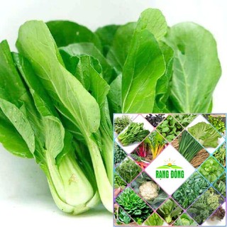 Gói 10 gr giống rau cải chip hat f1