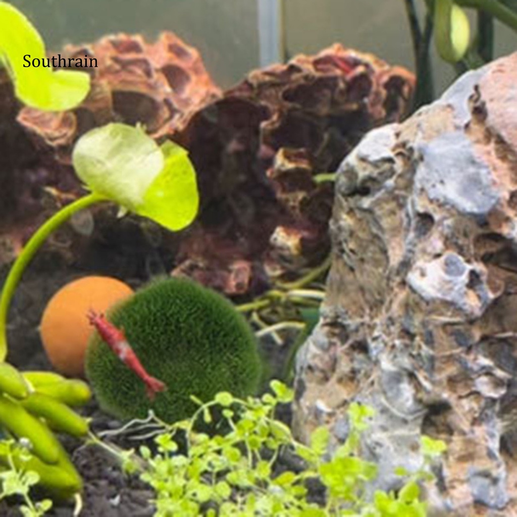 Đồ trang trí Hòn Non Bộ Trang Trí Bể Cá Bằng Nhựa Resin Màu Xanh Lá Cây An Toàn Không Ô Nhiễm Hình Dạng Đẹp Mắt