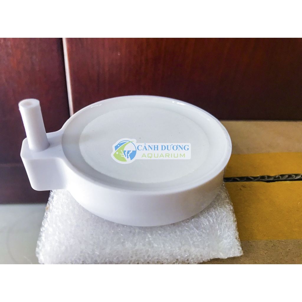 Sủi dĩa Nano- Sủi oxy siêu mịn C50 D50 C80 kích thước sủi 5cm 8cm
