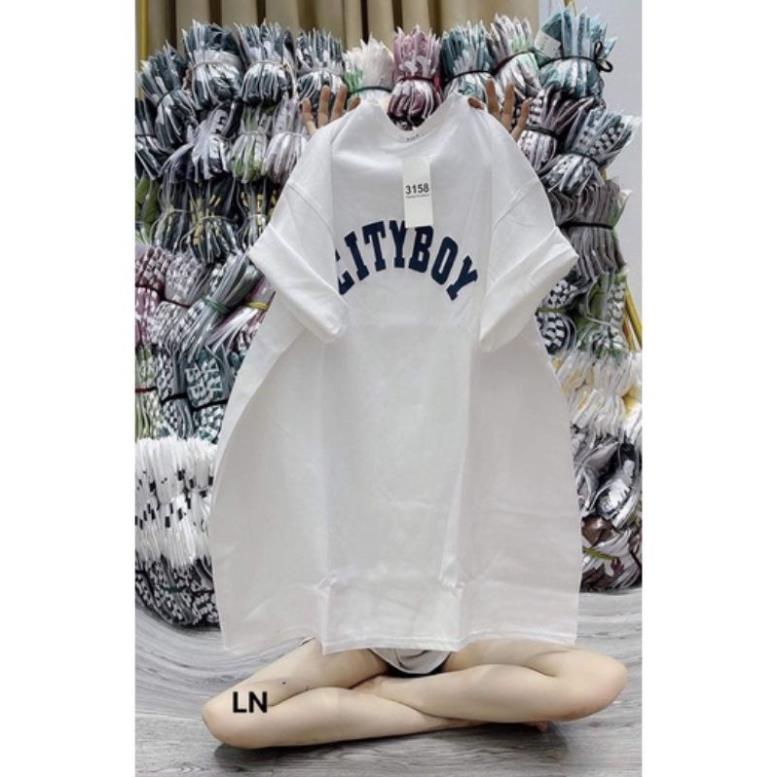 [ Rẻ Vô Địch ] Áo Phông Thun Form Rộng 3158 Cotton Khô Tay Lỡ Unisex HUDUcloset CITYBOY