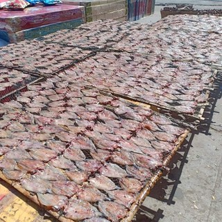 KHÔ CÁ NGÁT MẶN VỪA ĂN