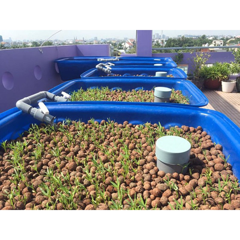 đất sét nung, sỏi nhẹ làm hệ thống aquabonic