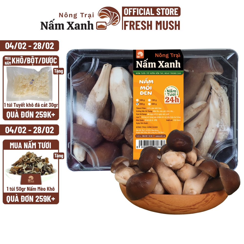 Nấm Mối Đen Tươi Loại 1 Đã Gọt Gốc Sạch 100gr 200gr Ngon Ngọt Bùi - Nông Trại Nấm Xanh