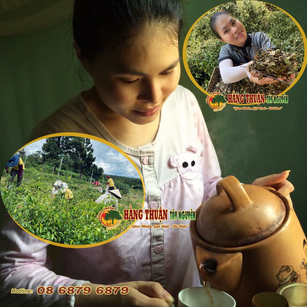 Chè Vằng Sẻ Cực Kỳ Lợi Sữa - Giảm Cân CSSX Hằng Thuận Tây Nguyên