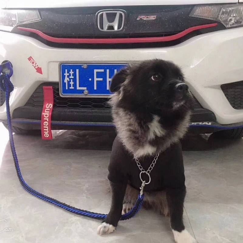 Suitable for TRD Trailer Rope Modification Personality Trailer Belt Car Decoration Trailer Rope Front and Rear Bars Traction Belt KMJt