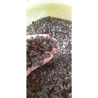 250 gram hạt muồng đen giống
