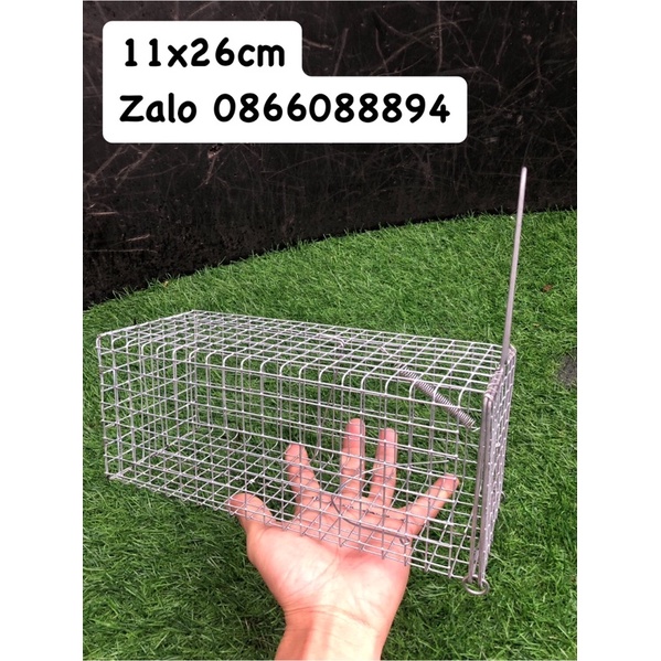 Lồng bẫy Chuột 🐭Sóc 11x26cm