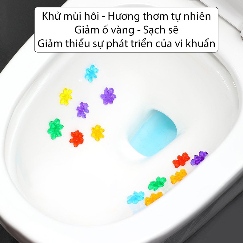 Gel khử mùi bồn cầu, gel thơm bồn cầu hương thơm thiên nhiên T61 TMC Store - 1 ống 12 bông thơm mát