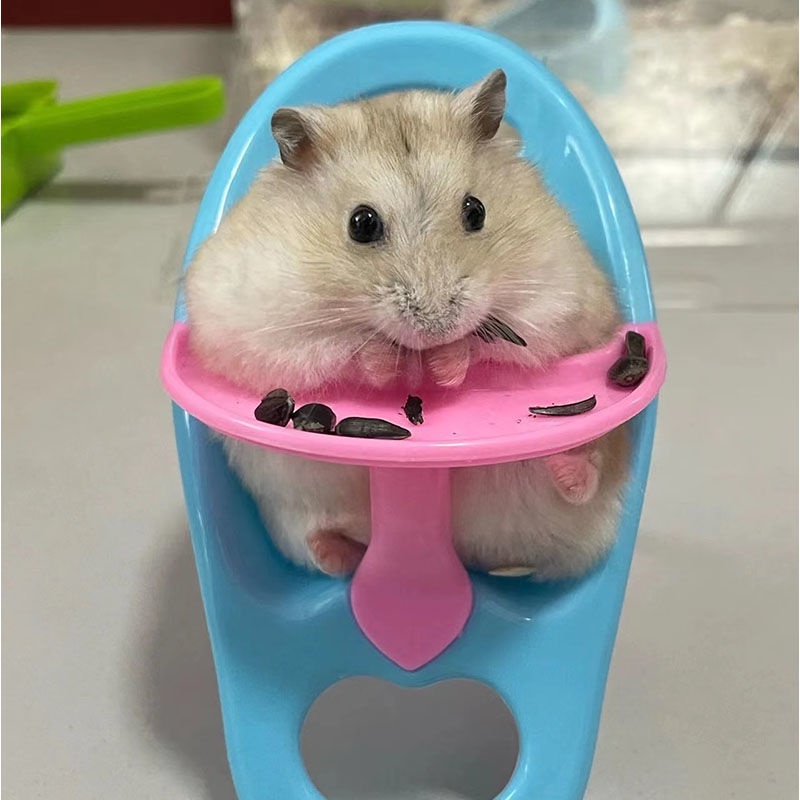 Bàn Ghế Ăn Tạm Thời Cho Chuột Hamster / Bàn Ăn Tạm Thời Hình Gấu Vàng Dễ Thương Cùng Phong Cách A +
