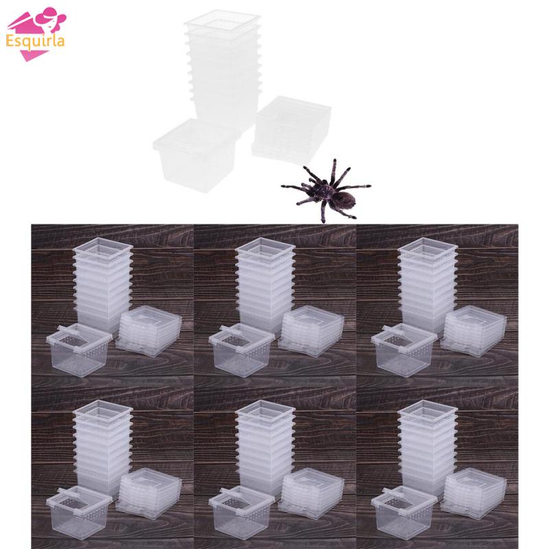 Bộ 60 Hộp Nhựa Bắt Côn Trùng Cho Bò Sát