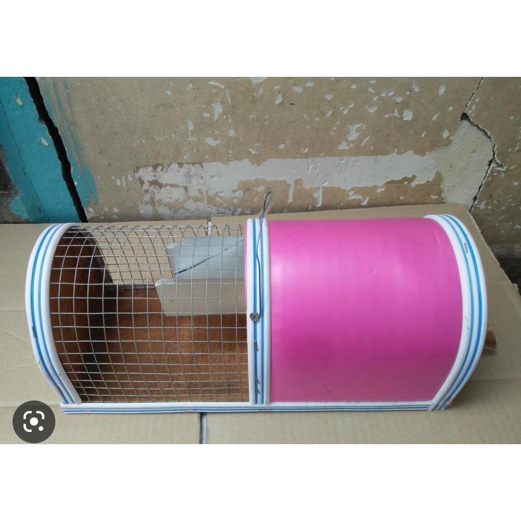 Bẫy lồng chuột thông minh