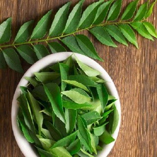 1kg Lá Cà Ri tươi
