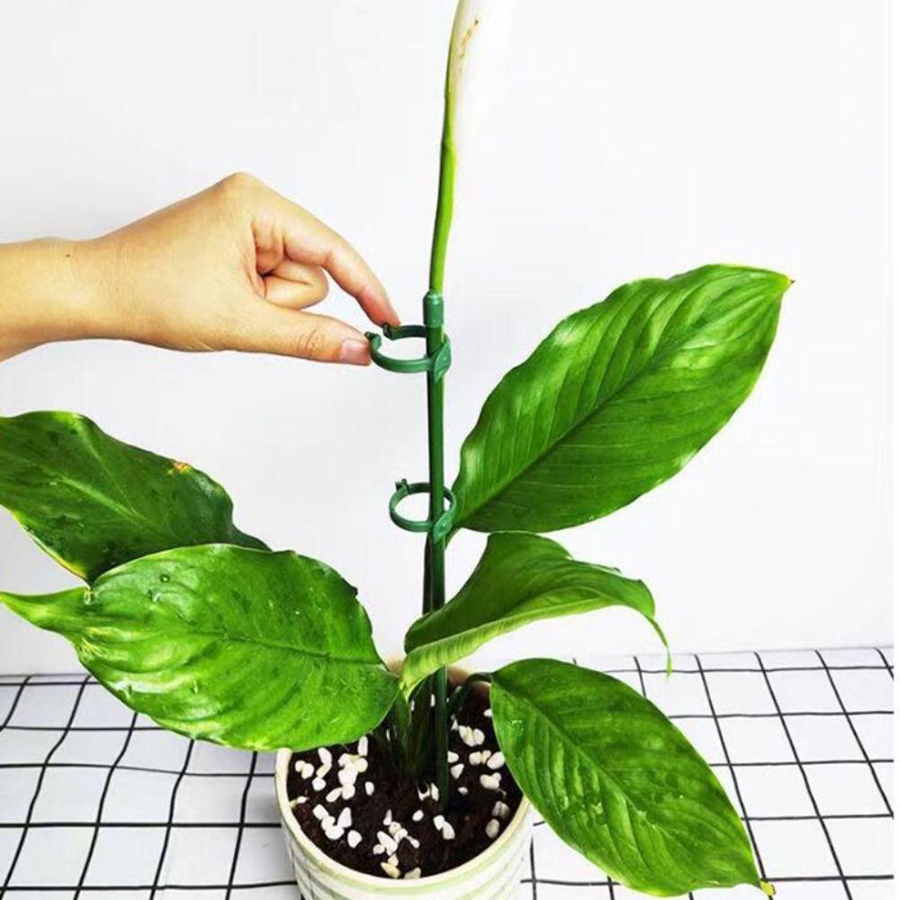 Bộ 10 Vòng Hỗ Trợ Trồng Cây Dây Leo Tái Sử Dụng Tiện Lợi