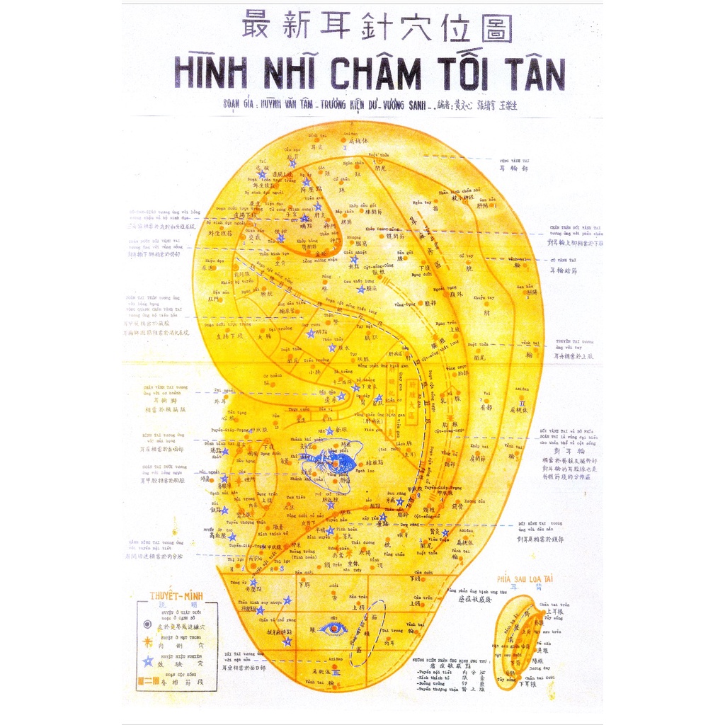 COMBO HÌNH NHĨ CHÂM VÀ TÀI LIỆU