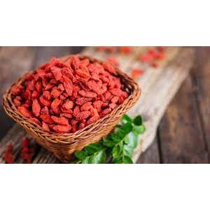 kỉ tử ninh hạ loại 1
