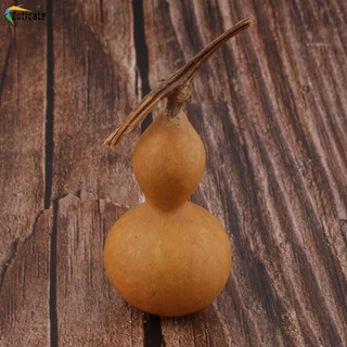 Bầu Nhỏ Tự Nhiên Khô Mộc Mạc Trang Trí Thủ Công Cho Mùa Thu Bát Filler DIY