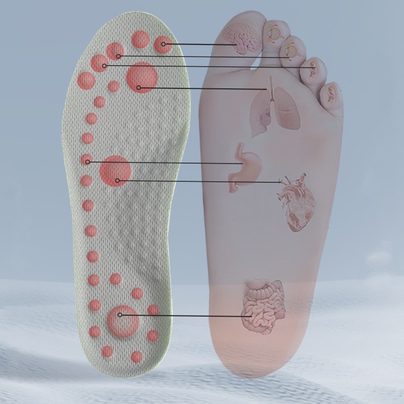 Miếng Lót Giày Thể Thao Tăng Chiều Cao 1.5-3.5cm