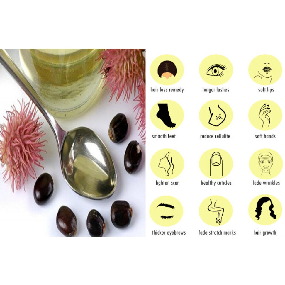 Dầu Thầu Dầu Nguyên Chất - Castor oil 100ml