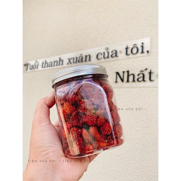 Dâu Tây Sấy Dẻo | 200-400-500gr | Đặc sản Đà Lạt