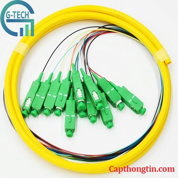Dây hàn quang Pigtail 12 màu SC/APC 1.5m , Dây nối quang 12 màu SC/APC