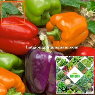 HẠT GIỐNG ỚT CHUÔNG Hạt Giống Nông Trại Xanh THE GARDEN