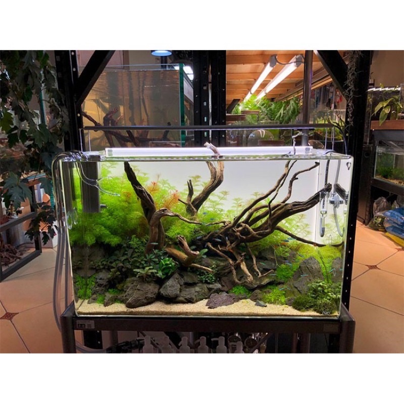 Đèn Led Odyssea Slim X450