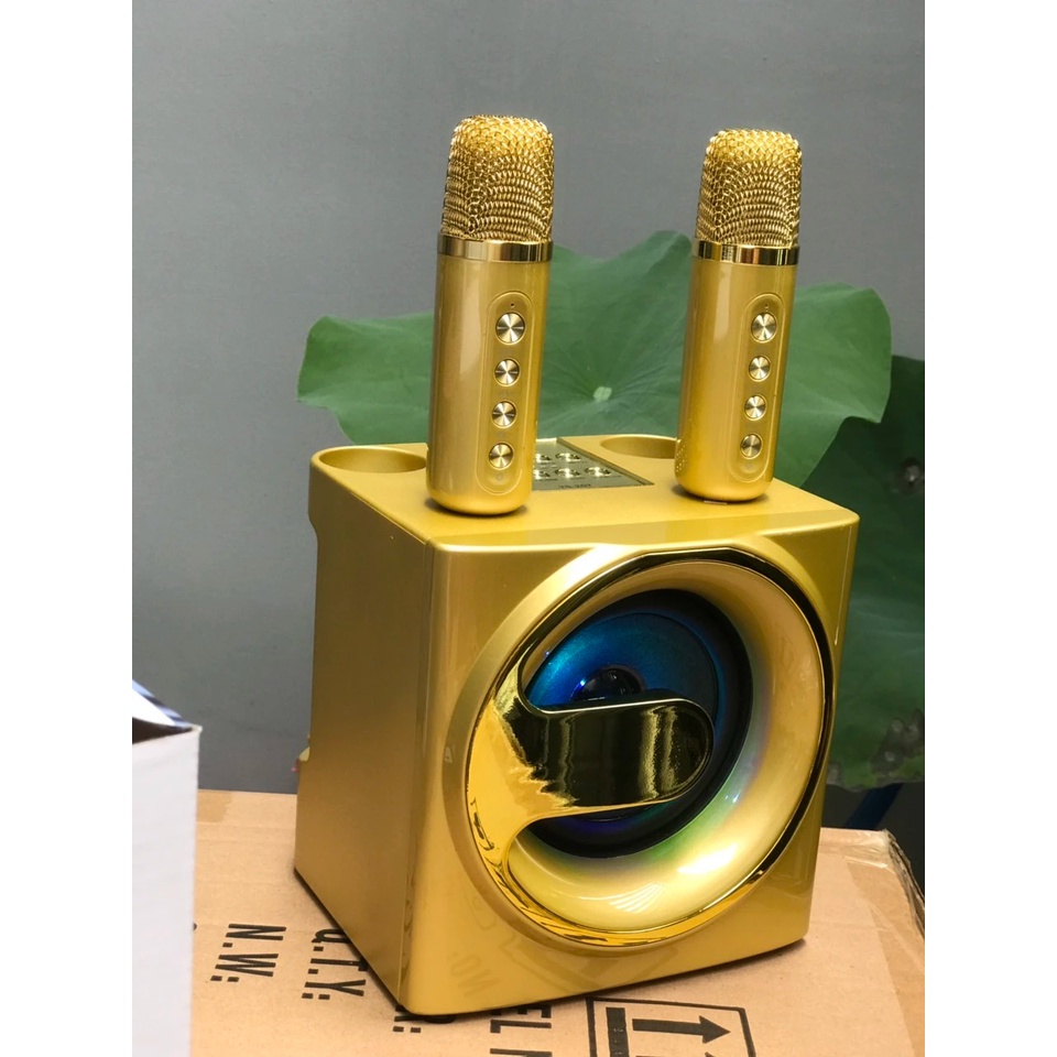 Loa Bluetooth Karaoke Su-Yord YS207 kèm 2 micro mẫu mới
