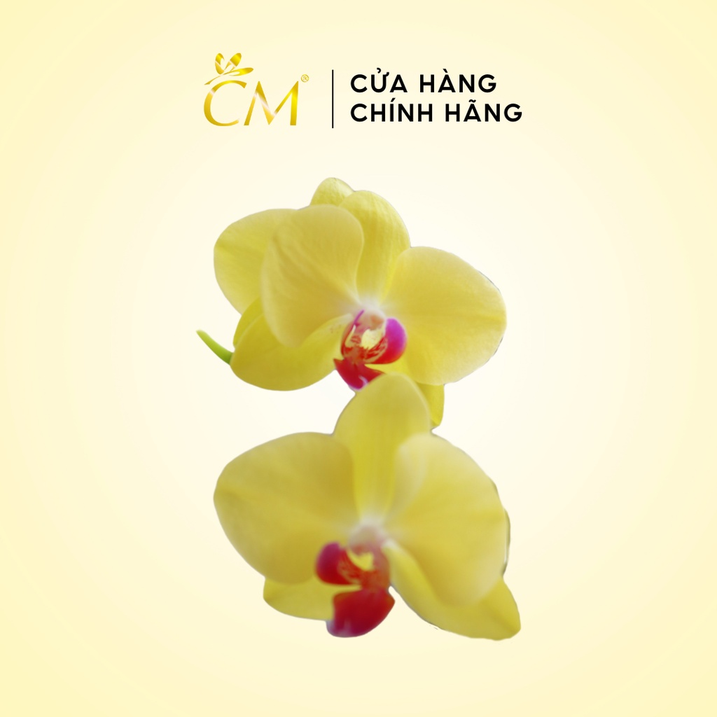 Kem CM Hoa Lan Vàng 30g Dưỡng Trắng Da